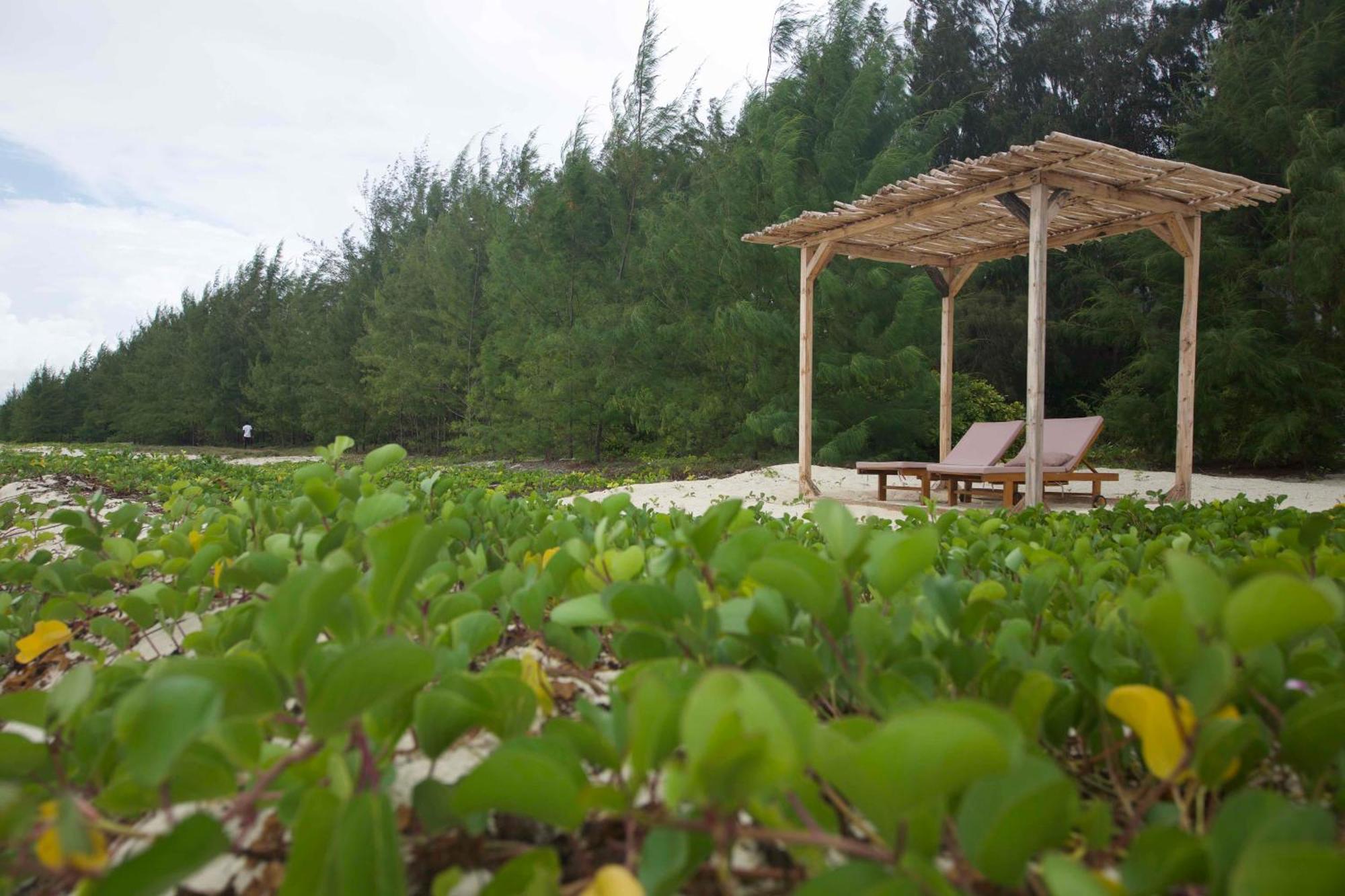 Kivuli Beach Resort Paje Exterior photo